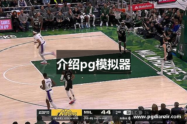 介绍pg模拟器